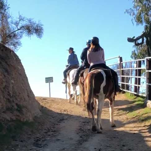 LA Horseback Riding Tour